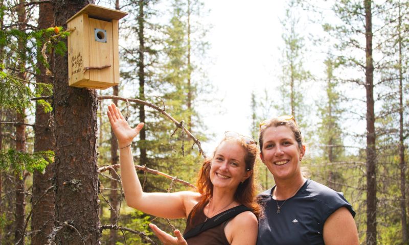 Our First Birdhouse installed